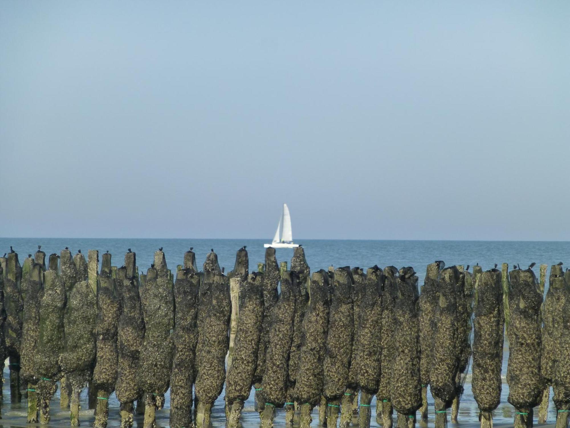 Appartement Face Mer Quend Bagian luar foto